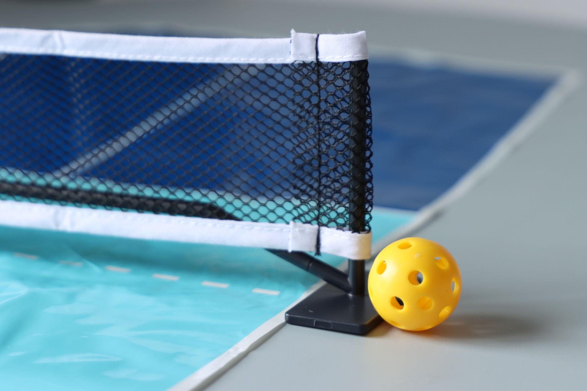Pickleball Terms Glossary: The Complete Guide for Beginners and Beyond